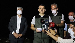 Tarım ve Orman Bakanı Pakdemirli'den orman yangınıyla ilgili flaş açıklama