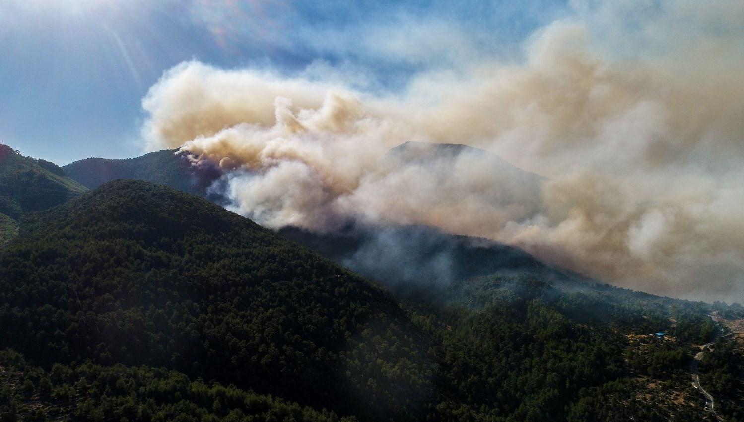 Türkiye'de orman yangınları devam ediyor