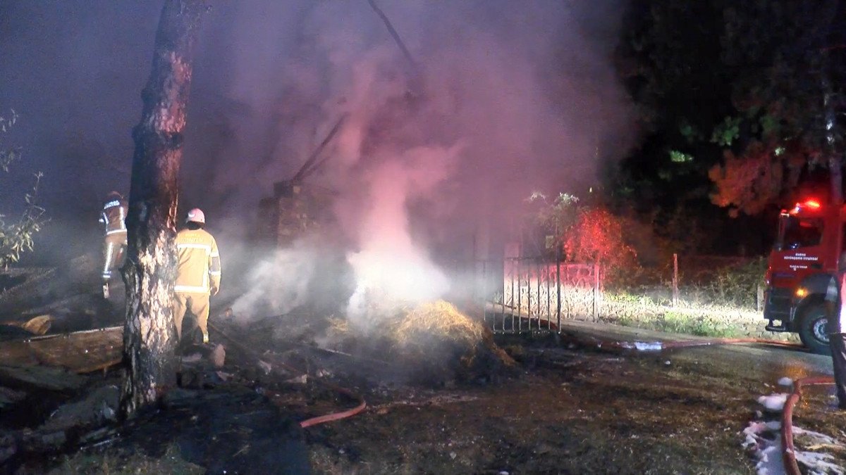 Bursa ormanın 6 farklı noktasında ve samanlıkta eş zamanlı yangın