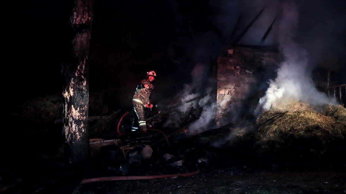 Bursa ormanın 6 farklı noktasında ve samanlıkta eş zamanlı yangın