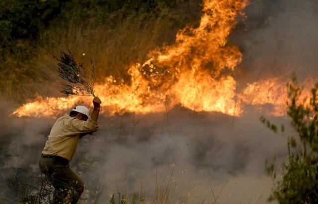 Dünya, Türkiye'yi küle çeviren yangınları korkuyla izliyor! Ünlü ajanslar yaşananları "son dakika" ibaresiyle geçiyor