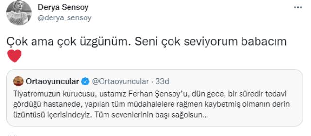 Tiyatro ve sineme sanatçısı Ferhan Şensoy 70 yaşında yaşamını yitirdi