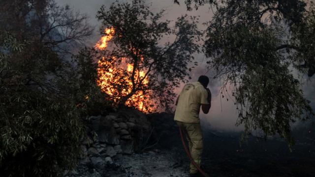 Financial Times'tan orman yangınları yorumu: 'Erdoğan baskı altında'
