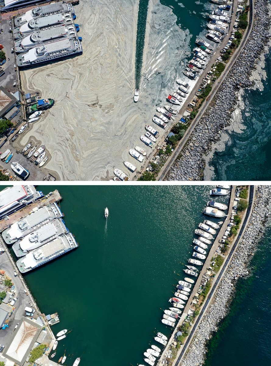 İstanbul sahilleri müsilajdan arındırıldı