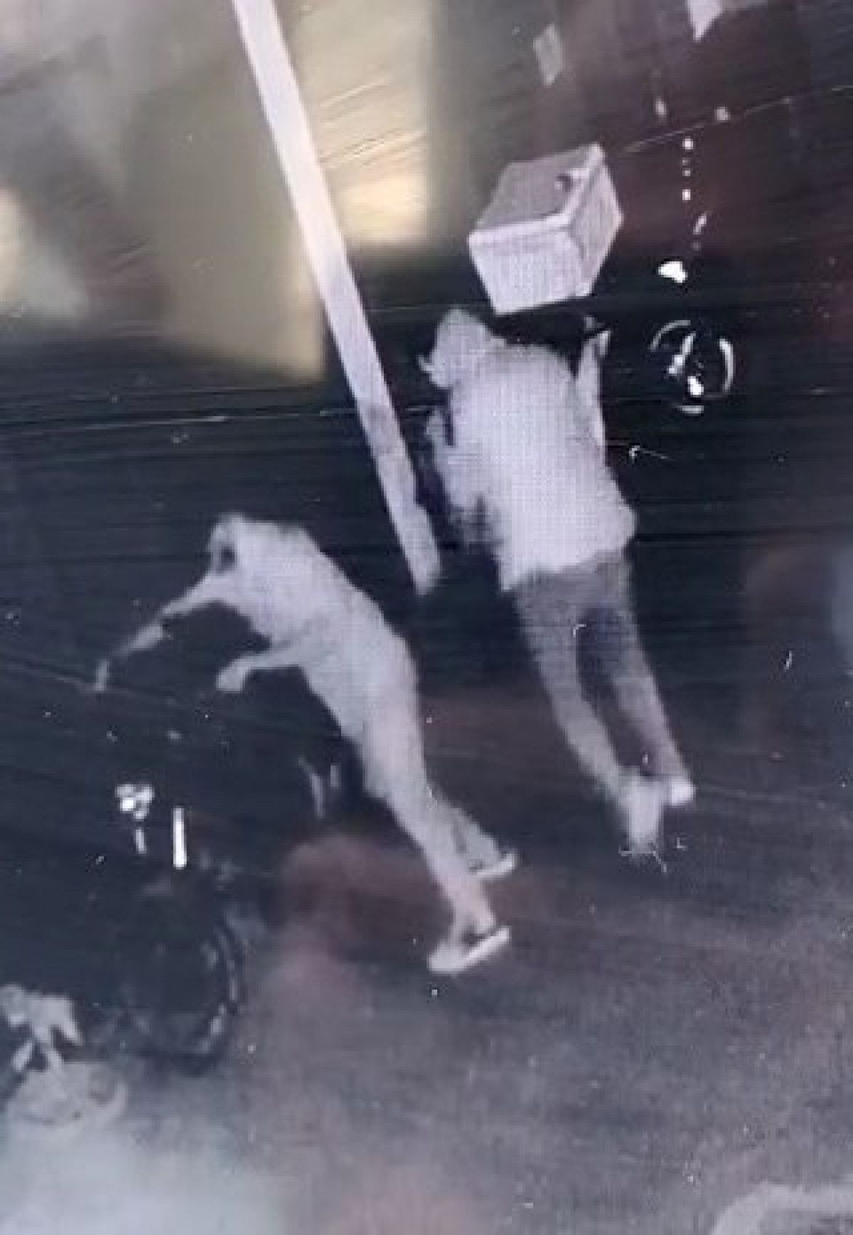 Kağıthane'deki motosiklet hırsızları, kameraya yansıdı