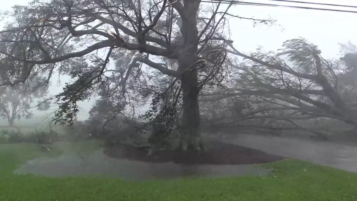 Louisiana'da Ida kasırgası çatıları uçurdu