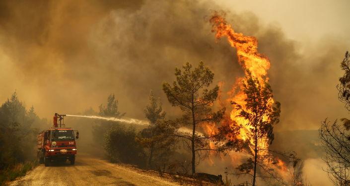 'Manavgat'taki yangını 12 yaşındaki çocuğun çıkardığı belirlendi' iddiası