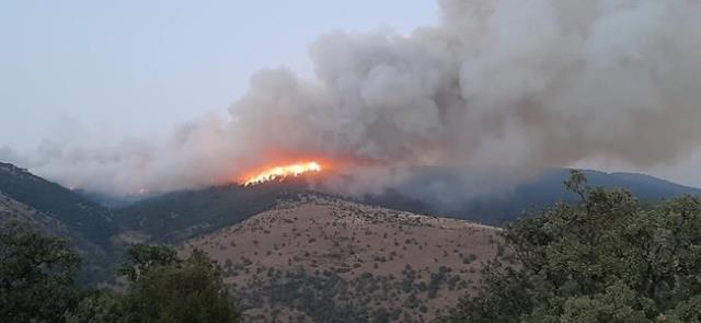 Muğla Büyükşehir Belediyesi yangın bölgelerindeki son durumu paylaştı! Çökertme'de 15 bin hektar kül oldu