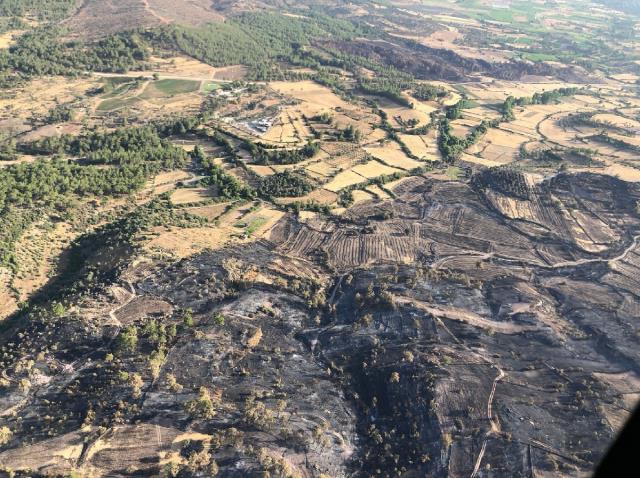 Muğla Büyükşehir Belediyesi yangın bölgelerindeki son durumu paylaştı! Çökertme'de 15 bin hektar kül oldu