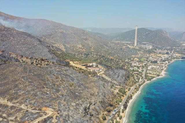 Muğla Büyükşehir Belediyesi yangın bölgelerindeki son durumu paylaştı! Çökertme'de 15 bin hektar kül oldu