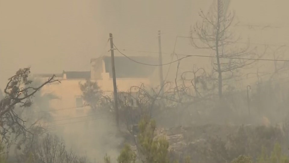 Orman yangınlarında son durum: Alevler termik santrale sıçradı