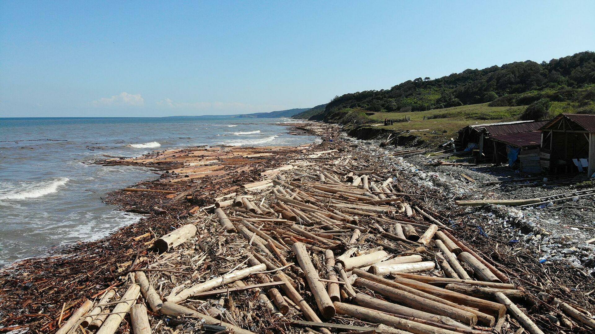 Selin etkisiyle tomruklar Karadeniz’i örtü gibi kapladı