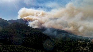 Türkiye'de orman yangınları devam ediyor