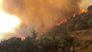 Manavgat yangını için tutuklanan Ali Y.'nin ses kaydı çıktı: Benzin döke döke, yaka yaka gittim