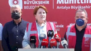 Meral Akşener'den ormanları yakanlara karşı öneri: Terör üyeliği ile yargılansınlar