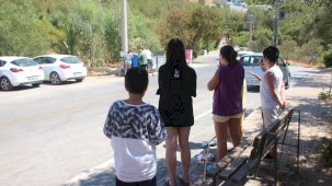 Muğla’da, zehirlenen sokak hayvanları öldü