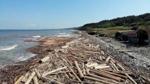 Selin etkisiyle tomruklar Karadeniz’i örtü gibi kapladı