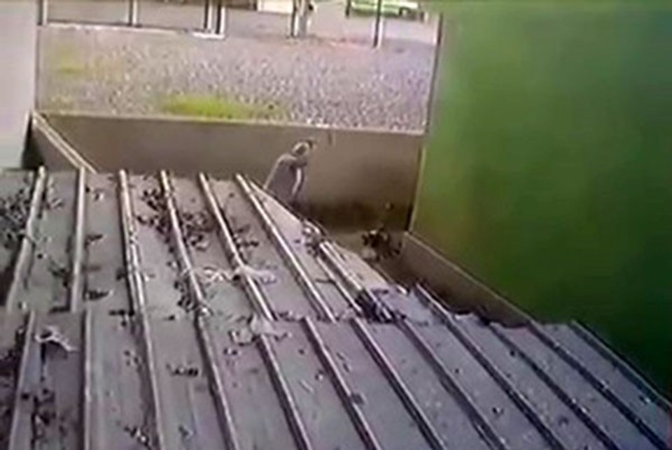 Tavuklarına saldırdı diye köpeği sopayla dövdü