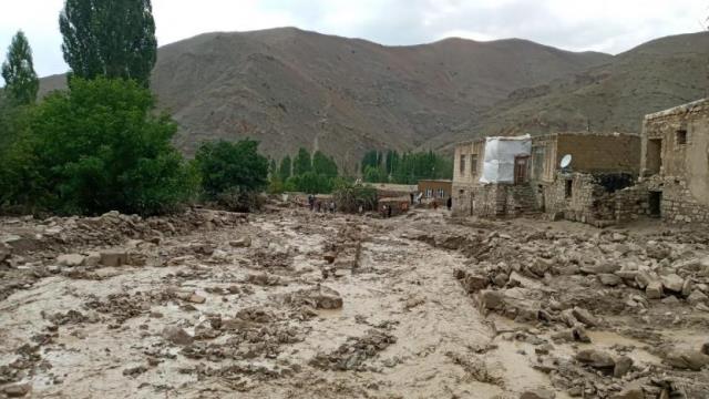 Van'da yaşanan selle ilgili Bakan Pakdemirli'den vatandaşlara destek mesajı: Zararlarının tamamını karşılayacağız