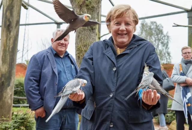 16 yıllık görevini bırakmaya hazırlanıyor! Merkel'in veda turuna zor anları damga vurdu