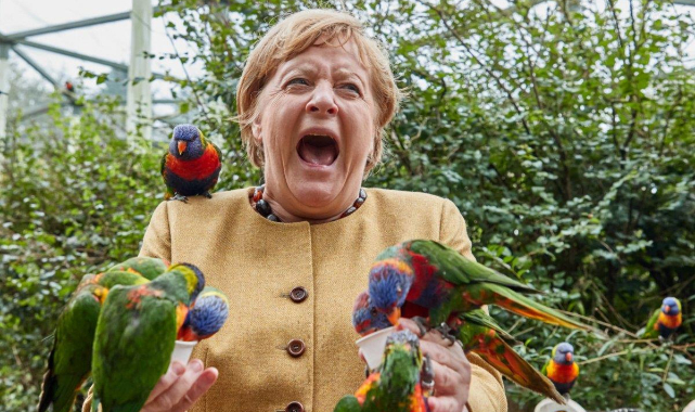 16 yıllık görevini bırakmaya hazırlanıyor! Merkel&#039;in veda turuna zor anları damga vurdu