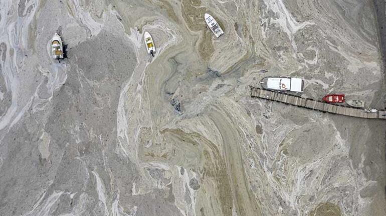 Balıkçı da vatandaş da bunu soruyor! Cevap geldi: Tezgaha etkisi...