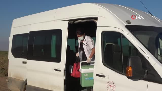 Bitlis'te tarladaki çiftçilere aşı hizmeti