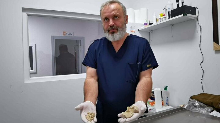 Maya isimli golden cinsi köpeğini idrar sorunu nedeniyle veteriner hekime başvurdu