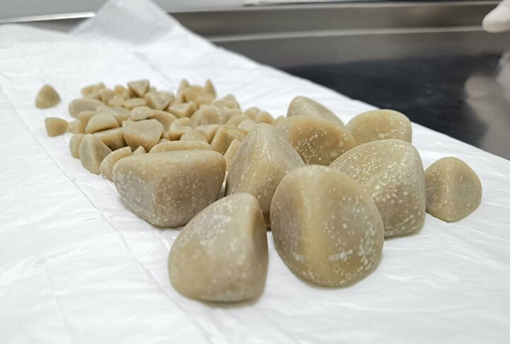 Maya isimli golden cinsi köpeğini idrar sorunu nedeniyle veteriner hekime başvurdu