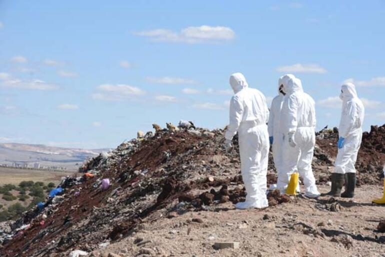 Iraklı Sally, şehir çöplüğünde de aranıyor