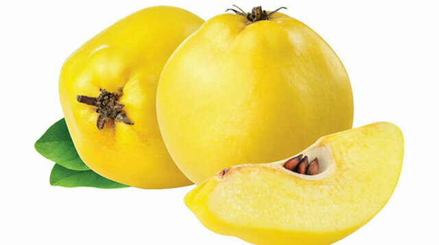 Lezzetli reçel tarifleri