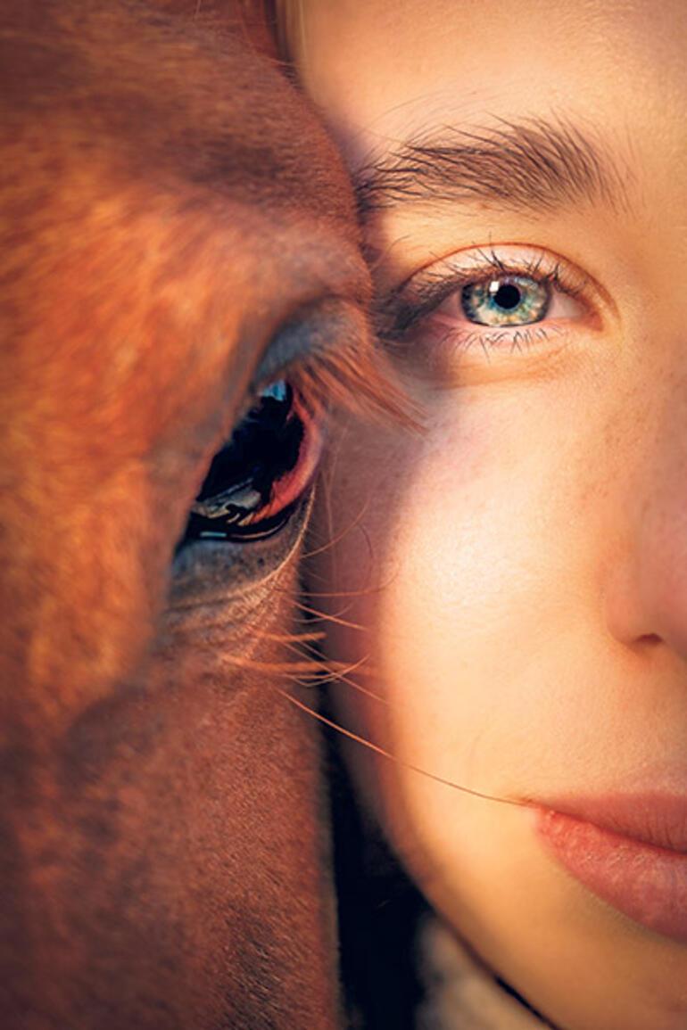 Şimdiki zamanın hikayesi