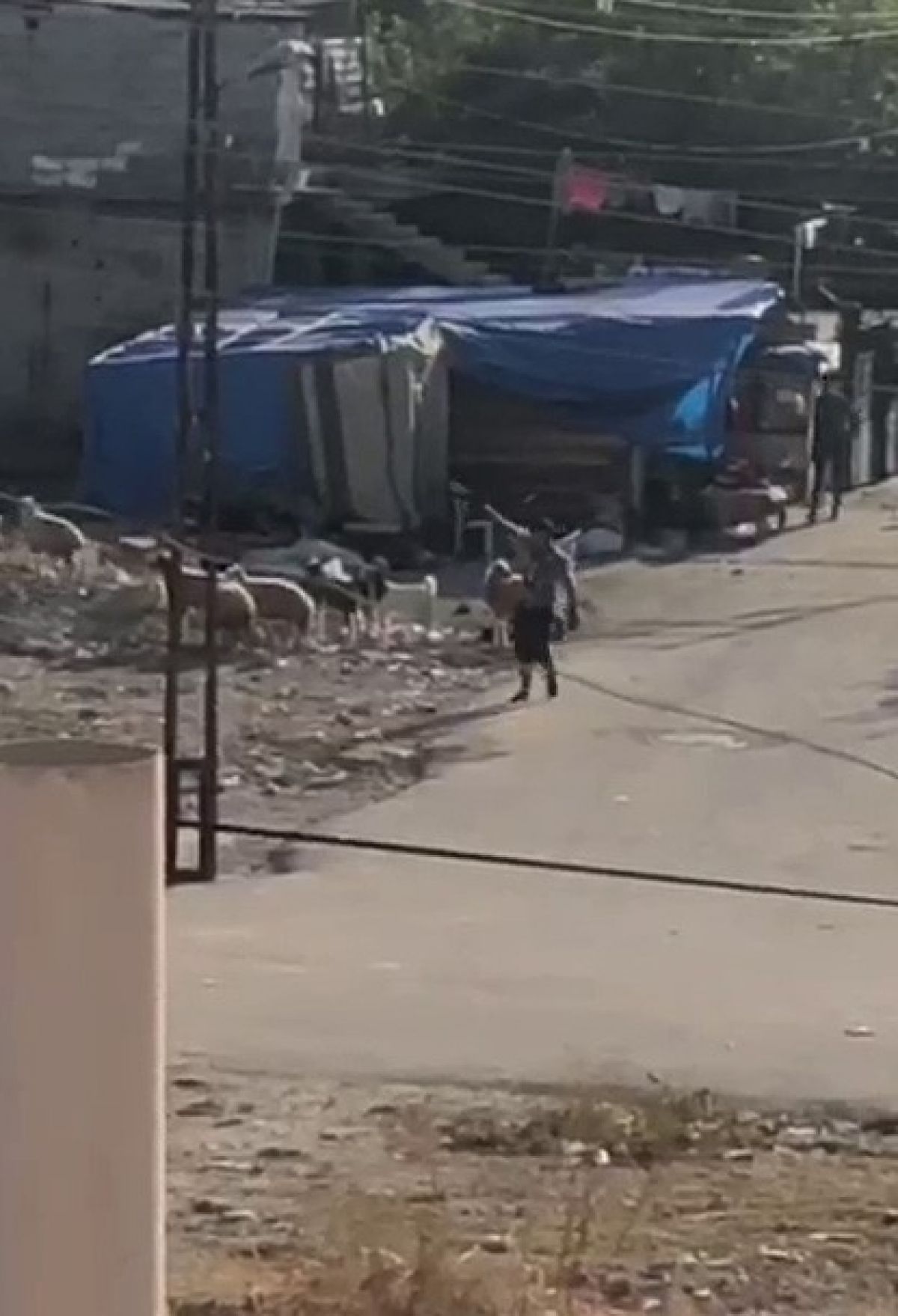 Adana’da iki grup arasında silahlı çatışma anları