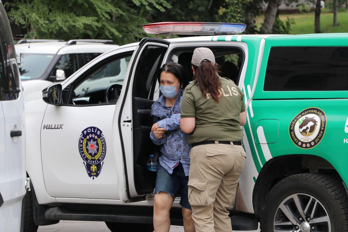 Ankara'da evinin bahçesinde köpek ölüleri bulunan kadın tahliye edildi