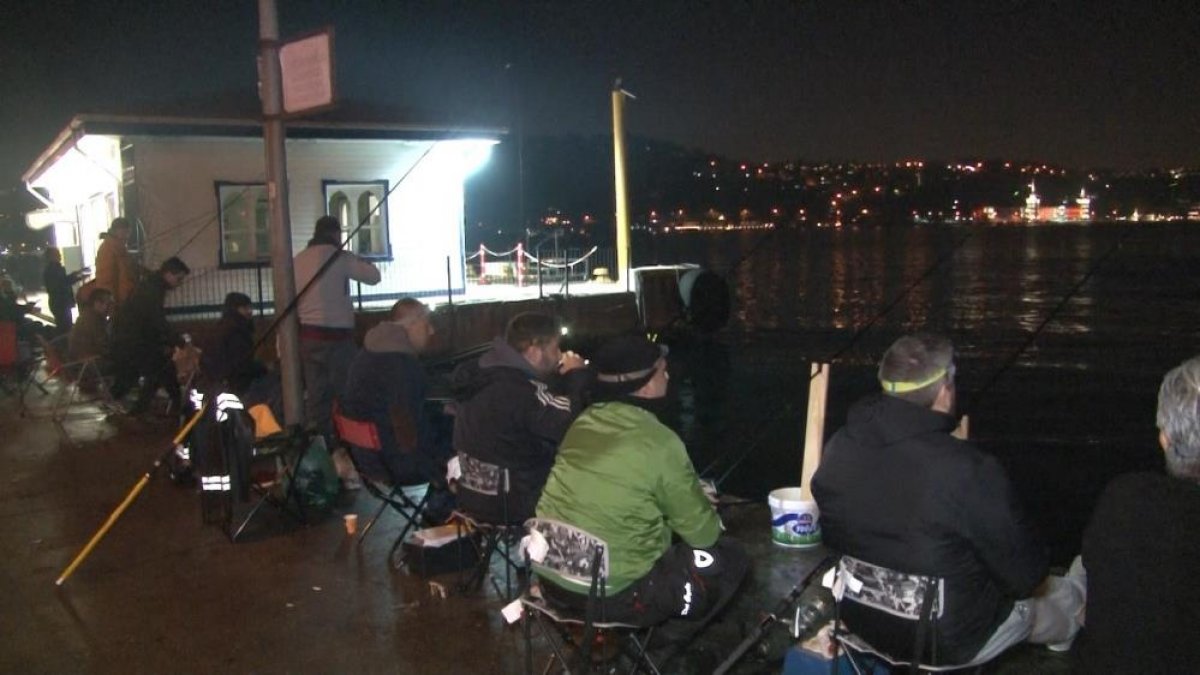 Arnavutköy sahilinde denizanası istilası