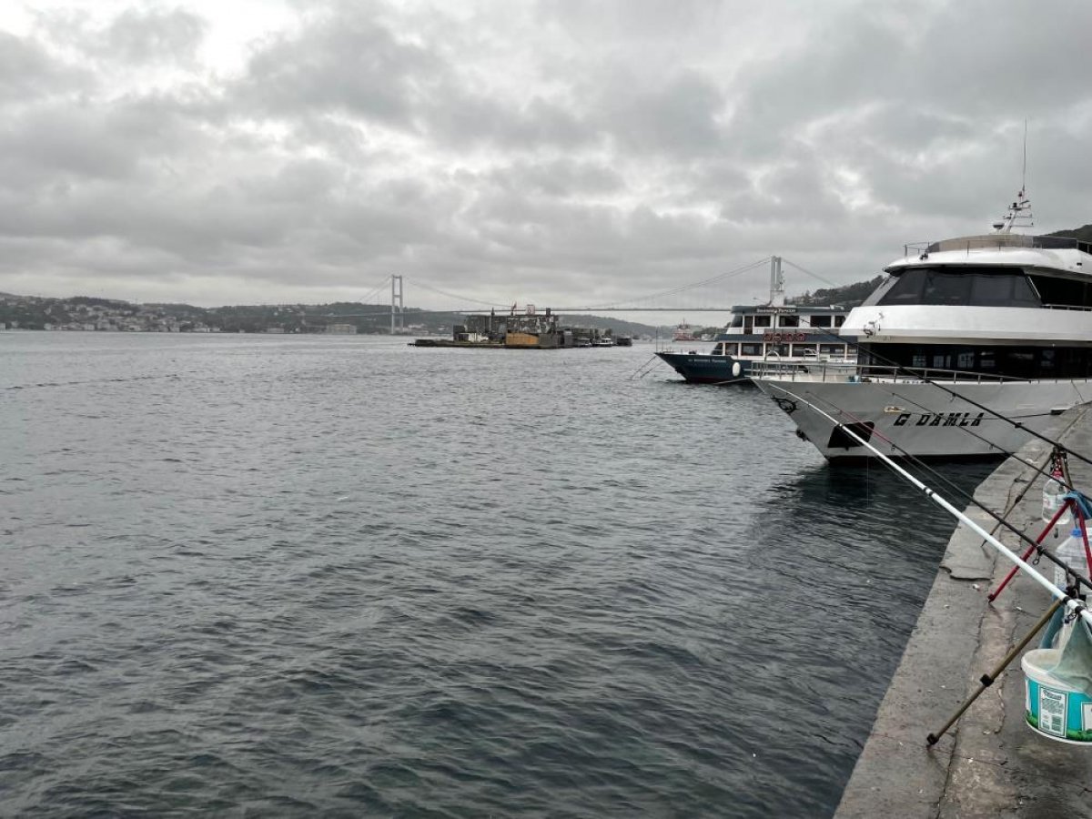 Arnavutköy sahilinde denizanası istilası