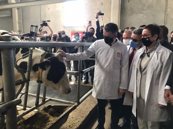 BAKAN PAKDEMİRLİ, 'ELEKTRONİK HAYVAN TAKİP SİSTEMİ'Nİ TANITTI