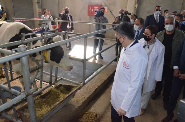 BAKAN PAKDEMİRLİ, 'ELEKTRONİK HAYVAN TAKİP SİSTEMİ'Nİ TANITTI