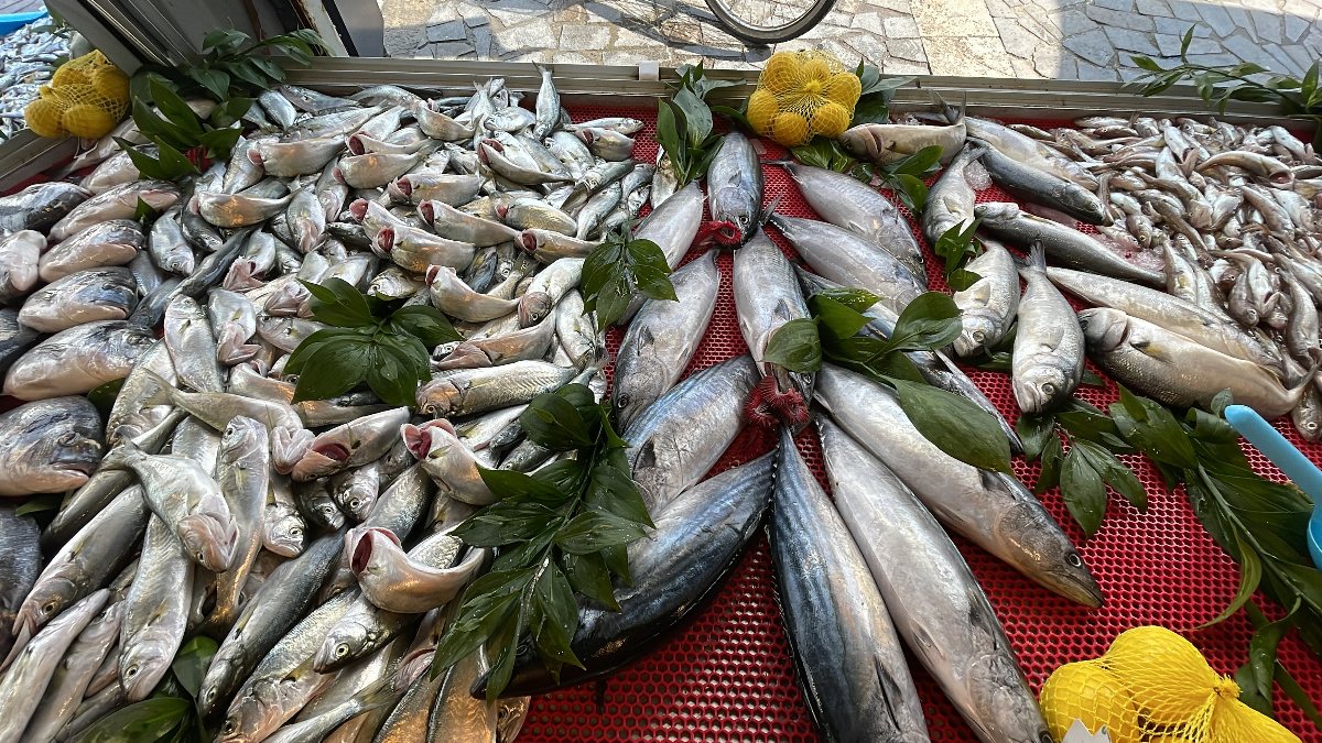 Batı Karadeniz&#039;de hamsi azaldı, palamut tezgahtaki yerini aldı