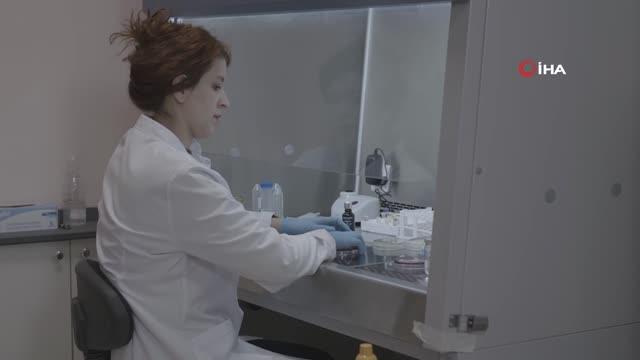 Faydalı diye bilinen doğal bitkilerde zehirlenme tehlikesine dikkat