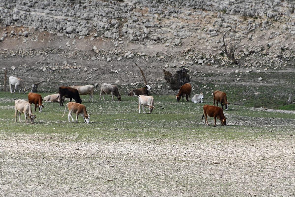 İstanbul'un suyunu karşılayan 10 barajın ortalaması yüzde 50,51