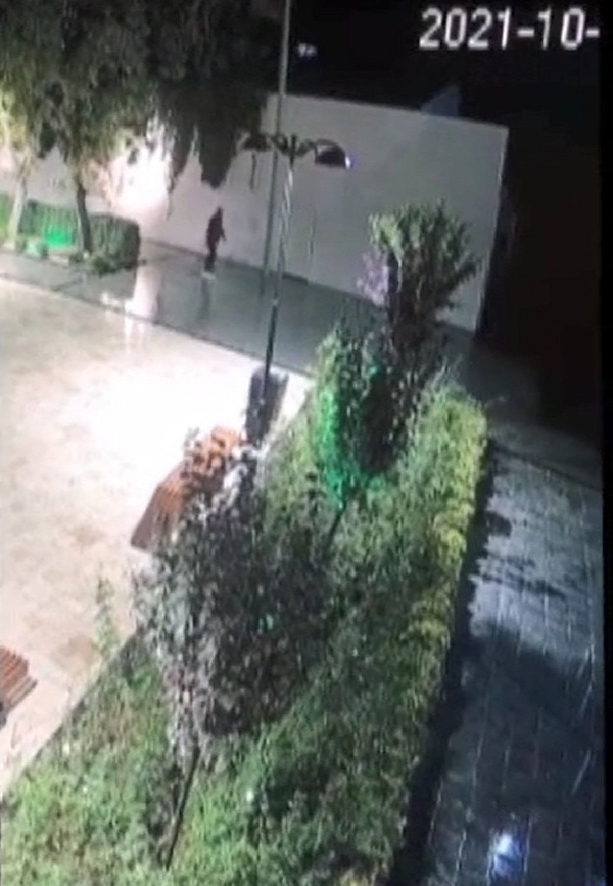 Kağıthane'de fazla hesap cinayeti