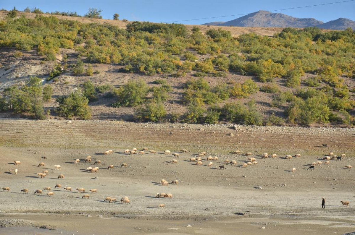 Kahramanmaraş'ın 35 yıllık göletinde binlerce metreküp su kurudu