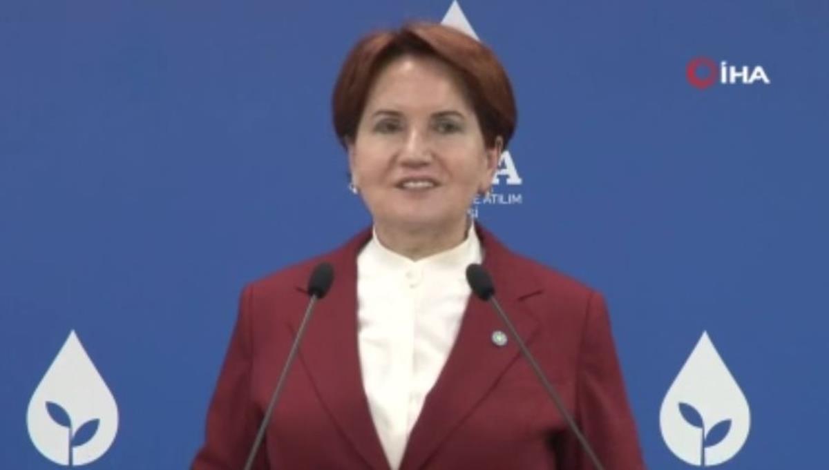 Meral Akşener ve Ali Babacan bir araya geldi