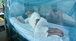 Pakistan'da Dang humması salgını endişesi! Bir günde 223 vaka tespit edildi