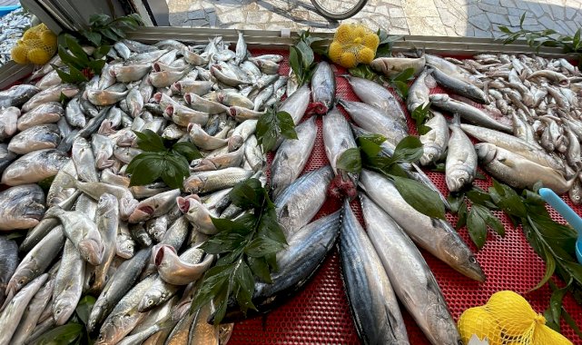 Batı Karadeniz'de hamsi azaldı, palamut tezgahtaki yerini aldı