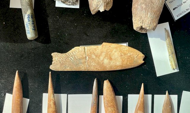 İzmir'de 8 bin yıl öncesine ait aslan ve panter kemikleri görüldü