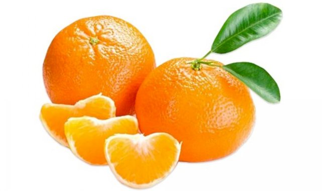 Rusya, 218 ton mandalinayı Türkiye’ye geri gönderdi