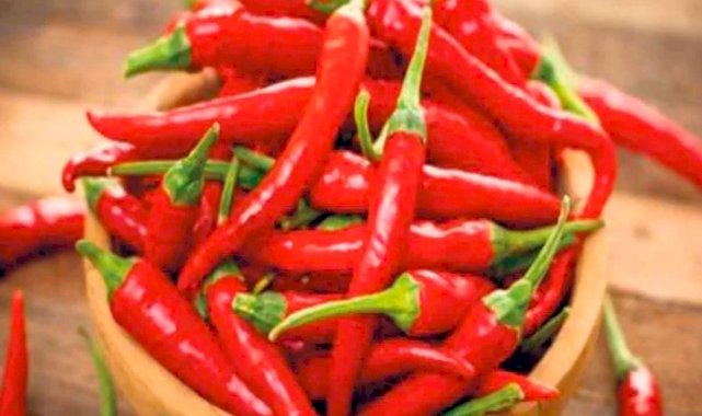 Yedikleri acı biber, Nobel Tıp Ödülü'nü kazandırdı