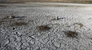 Van Gölü'nde sular çekilince yeni adacıklar ortaya çıktı